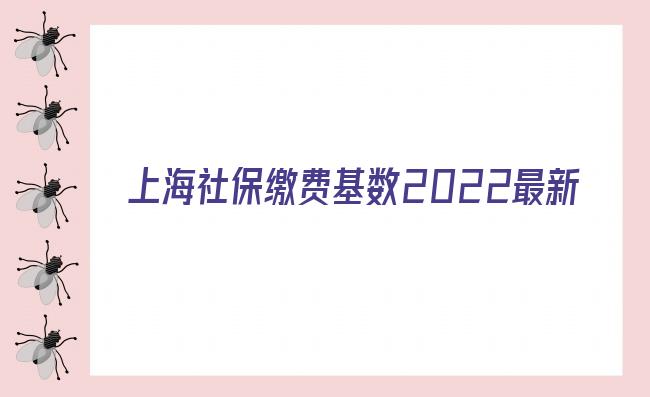 上海社保繳費基數(shù)2022最新