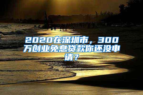 2020在深圳市，300萬創(chuàng)業(yè)免息貸款你還沒申請(qǐng)？