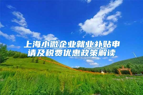 上海小微企業(yè)就業(yè)補貼申請及稅費優(yōu)惠政策解讀