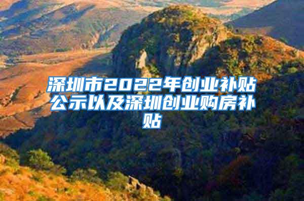 深圳市2022年創(chuàng)業(yè)補貼公示以及深圳創(chuàng)業(yè)購房補貼