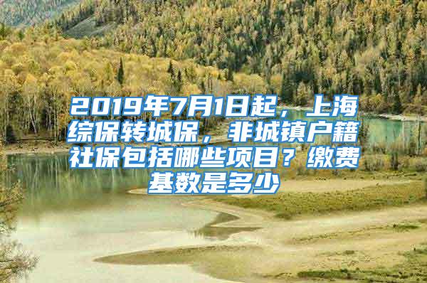 2019年7月1日起，上海綜保轉(zhuǎn)城保，非城鎮(zhèn)戶籍社保包括哪些項(xiàng)目？繳費(fèi)基數(shù)是多少