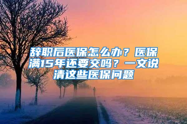 辭職后醫(yī)保怎么辦？醫(yī)保滿15年還要交嗎？一文說清這些醫(yī)保問題