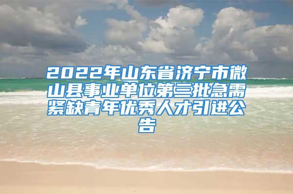 2022年山東省濟寧市微山縣事業(yè)單位第三批急需緊缺青年優(yōu)秀人才引進公告