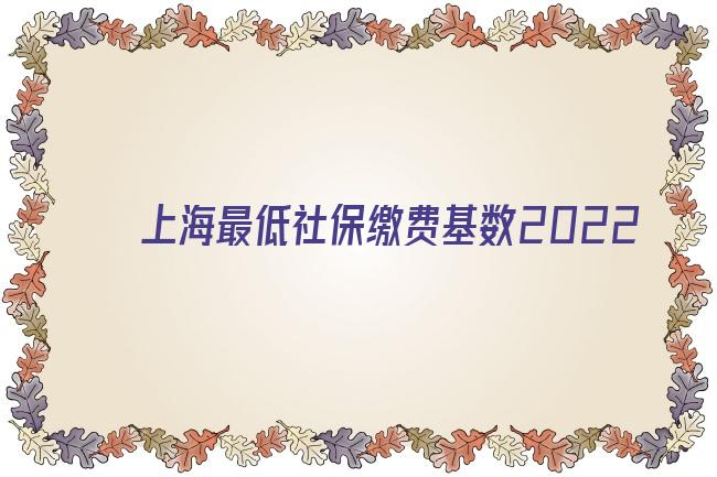 上海最低社保繳費基數(shù)2022