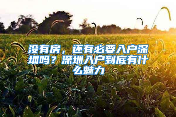 沒有房，還有必要入戶深圳嗎？深圳入戶到底有什么魅力