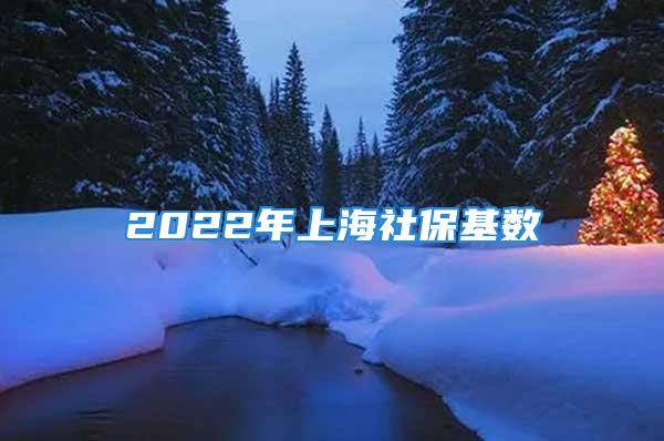 2022年上海社保基數(shù)