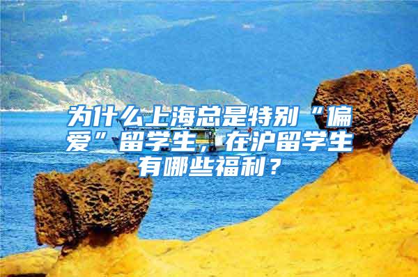 為什么上?？偸翘貏e“偏愛”留學生，在滬留學生有哪些福利？