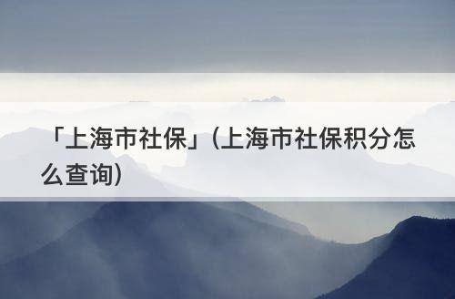 「上海市社?！?上海市社保積分怎么查詢)