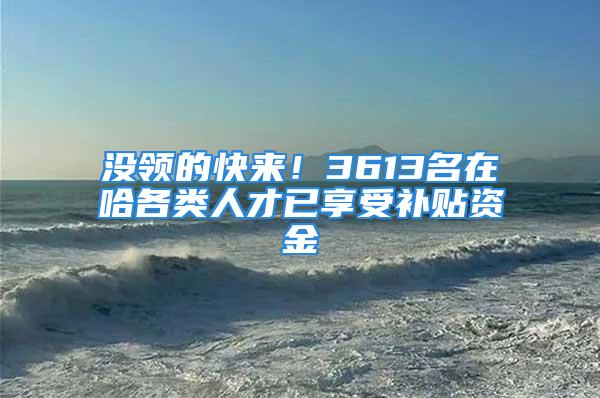 沒領(lǐng)的快來！3613名在哈各類人才已享受補(bǔ)貼資金