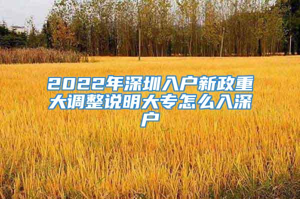 2022年深圳入戶新政重大調(diào)整說明大專怎么入深戶