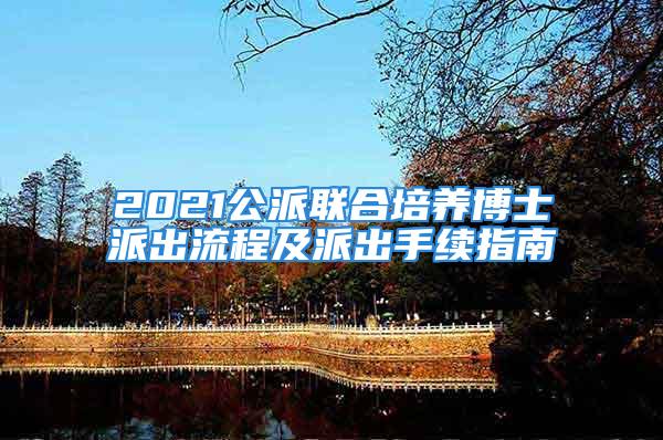 2021公派聯(lián)合培養(yǎng)博士派出流程及派出手續(xù)指南