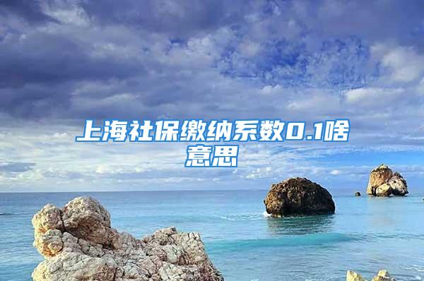 上海社保繳納系數(shù)0.1啥意思