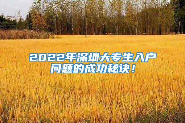 2022年深圳大專生入戶問題的成功秘訣！