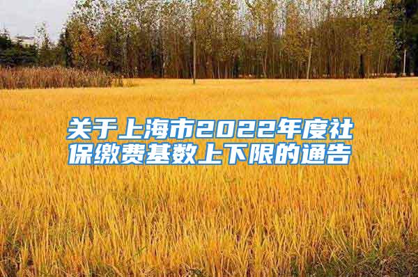 關(guān)于上海市2022年度社保繳費(fèi)基數(shù)上下限的通告