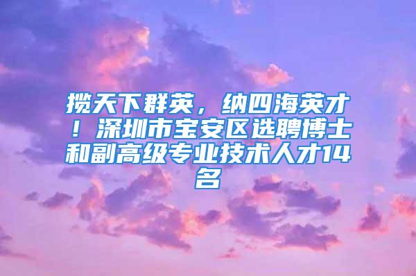 攬?zhí)煜氯河?，納四海英才！深圳市寶安區(qū)選聘博士和副高級(jí)專業(yè)技術(shù)人才14名