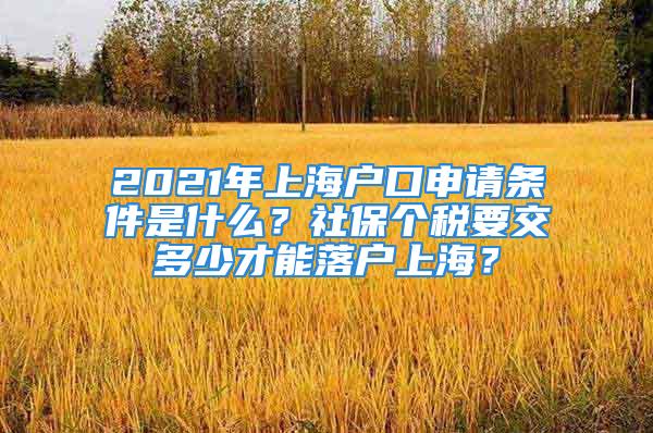 2021年上海戶(hù)口申請(qǐng)條件是什么？社保個(gè)稅要交多少才能落戶(hù)上海？