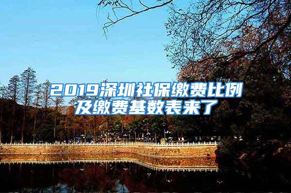 2019深圳社保繳費(fèi)比例及繳費(fèi)基數(shù)表來了