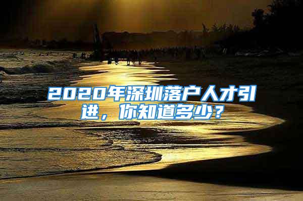 2020年深圳落戶人才引進，你知道多少？