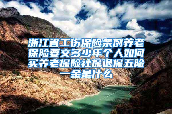 浙江省工傷保險條例養(yǎng)老保險要交多少年個人如何買養(yǎng)老保險社保退保五險一金是什么