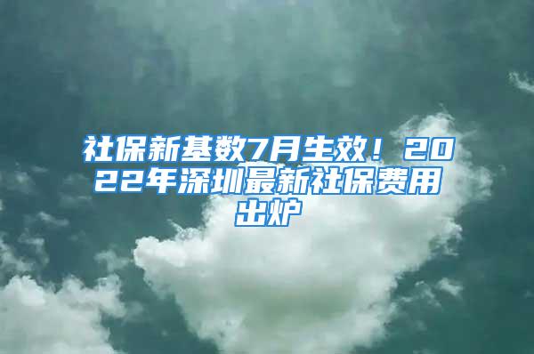 社保新基數(shù)7月生效！2022年深圳最新社保費(fèi)用出爐