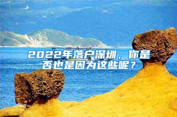 2022年落戶深圳，你是否也是因為這些呢？