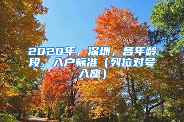 2020年，深圳，各年齡段，入戶標(biāo)準(zhǔn)（列位對號(hào)入座）