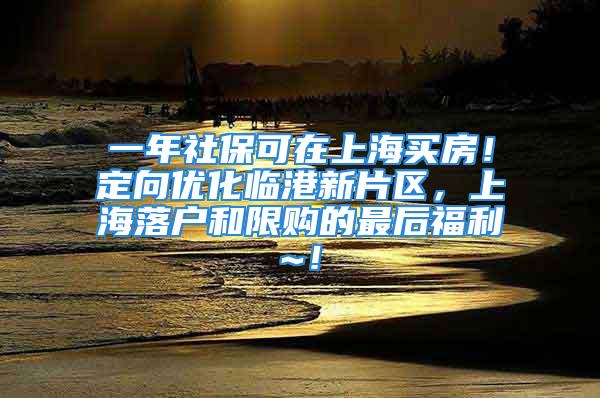 一年社?？稍谏虾ＹI房！定向優(yōu)化臨港新片區(qū)，上海落戶和限購的最后福利~！