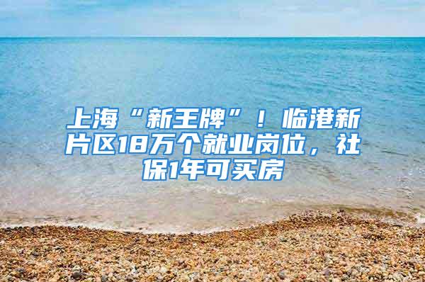 上?！靶峦跖啤保∨R港新片區(qū)18萬個(gè)就業(yè)崗位，社保1年可買房