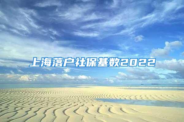 上海落戶(hù)社?；鶖?shù)2022