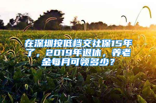 在深圳按低檔交社保15年了，2019年退休，養(yǎng)老金每月可領(lǐng)多少？