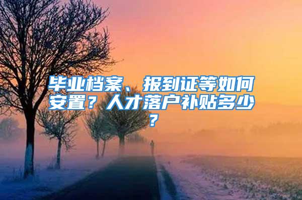 畢業(yè)檔案、報到證等如何安置？人才落戶補貼多少？