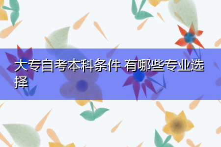 大專自考本科條件 有哪些專業(yè)選擇