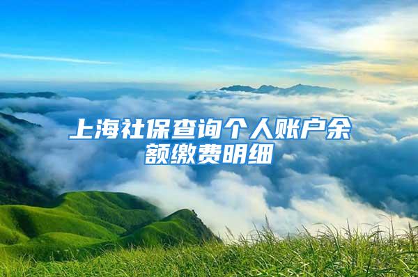 上海社保查詢個人賬戶余額繳費明細(xì)