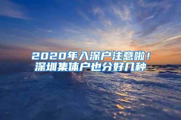 2020年入深戶注意啦！深圳集體戶也分好幾種