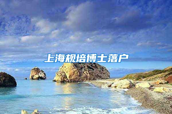 上海規(guī)培博士落戶(hù)