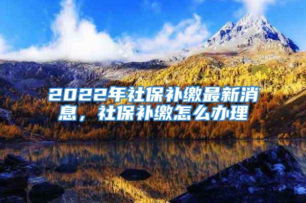 2022年社保補(bǔ)繳最新消息，社保補(bǔ)繳怎么辦理