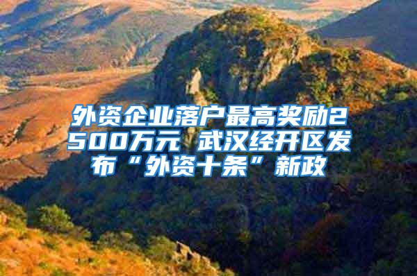 外資企業(yè)落戶最高獎(jiǎng)勵(lì)2500萬(wàn)元 武漢經(jīng)開(kāi)區(qū)發(fā)布“外資十條”新政