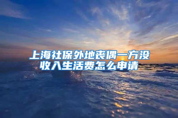 上海社保外地喪偶一方?jīng)]收入生活費(fèi)怎么申請