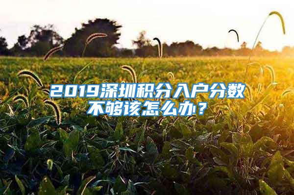 2019深圳積分入戶分?jǐn)?shù)不夠該怎么辦？