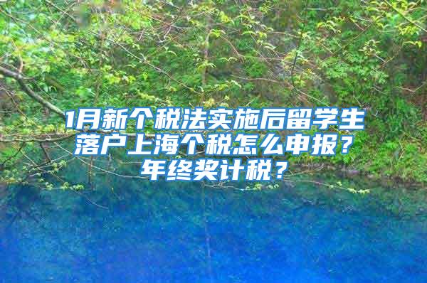 1月新個(gè)稅法實(shí)施后留學(xué)生落戶上海個(gè)稅怎么申報(bào)？年終獎(jiǎng)計(jì)稅？