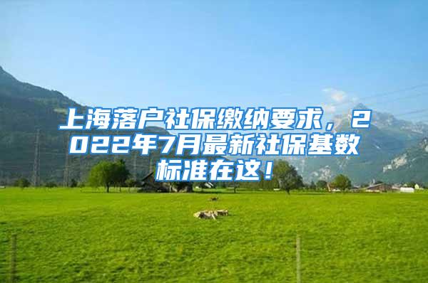 上海落戶社保繳納要求，2022年7月最新社?；鶖?shù)標(biāo)準(zhǔn)在這！