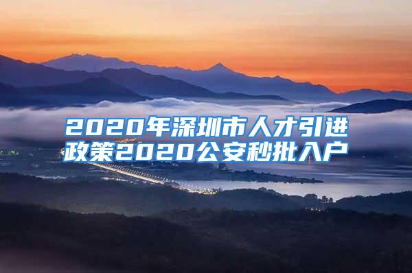 2020年深圳市人才引進(jìn)政策2020公安秒批入戶