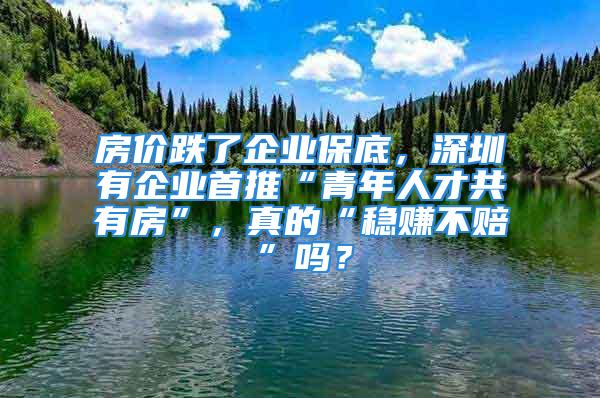 房價跌了企業(yè)保底，深圳有企業(yè)首推“青年人才共有房”，真的“穩(wěn)賺不賠”嗎？