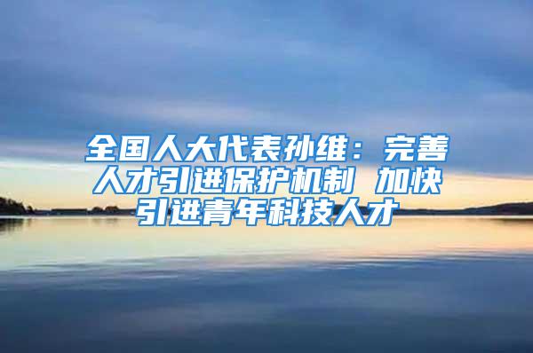 全國(guó)人大代表孫維：完善人才引進(jìn)保護(hù)機(jī)制 加快引進(jìn)青年科技人才