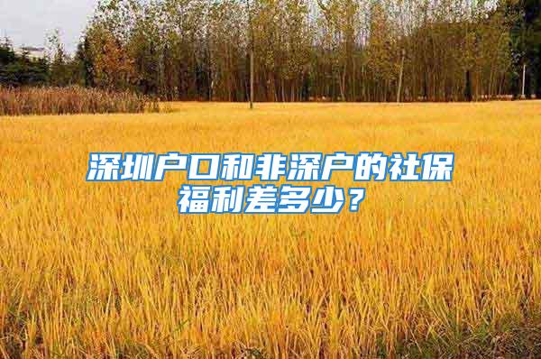 深圳戶口和非深戶的社保福利差多少？