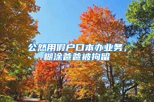 公然用假戶口本辦業(yè)務(wù)，糊涂爸爸被拘留