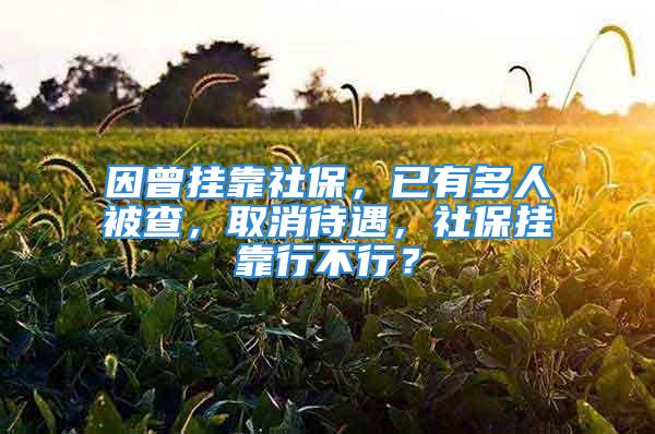 因曾掛靠社保，已有多人被查，取消待遇，社保掛靠行不行？