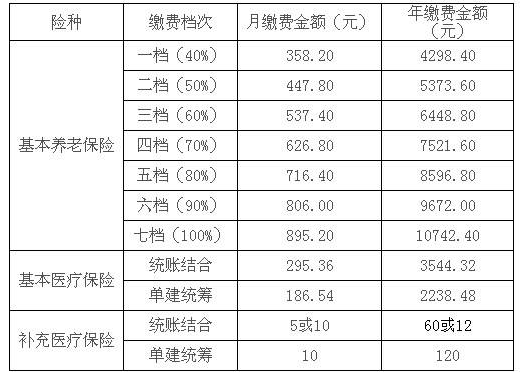 2.社保賬戶費(fèi)用繳納.png