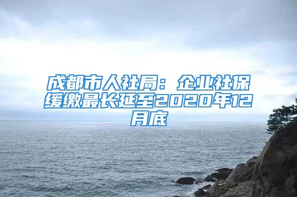 成都市人社局：企業(yè)社保緩繳最長延至2020年12月底