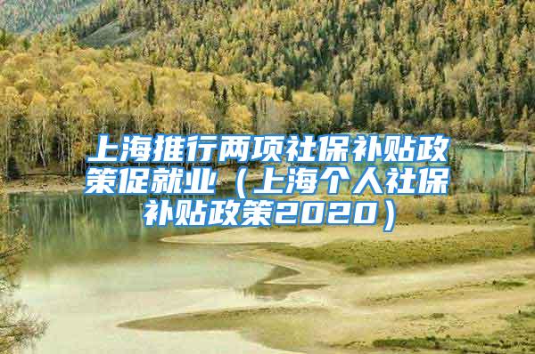 上海推行兩項社保補貼政策促就業(yè)（上海個人社保補貼政策2020）